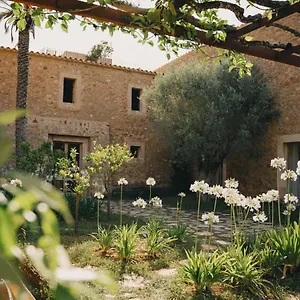 https://es-raco-d-arta.balearic-islands.net